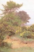 George Marks At the Edge of Shere Heath (mk46) oil painting picture wholesale